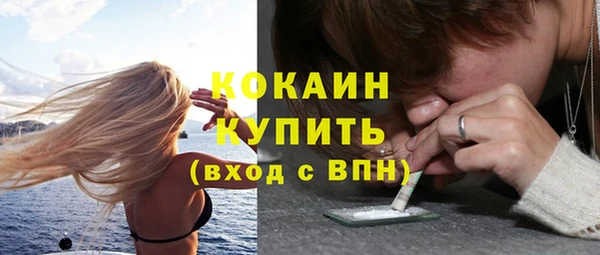 ПСИЛОЦИБИНОВЫЕ ГРИБЫ Заводоуковск