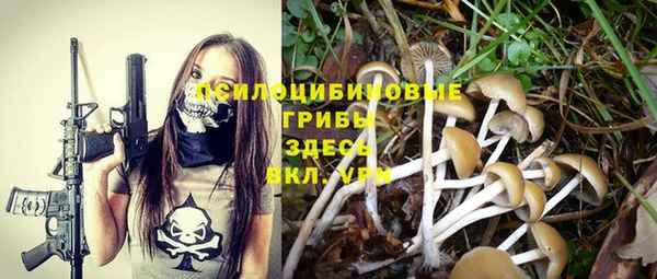 ПСИЛОЦИБИНОВЫЕ ГРИБЫ Заводоуковск
