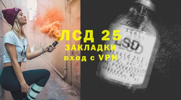 ПСИЛОЦИБИНОВЫЕ ГРИБЫ Заводоуковск