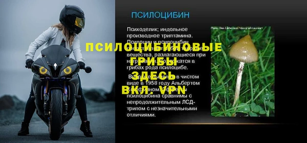 ПСИЛОЦИБИНОВЫЕ ГРИБЫ Заводоуковск