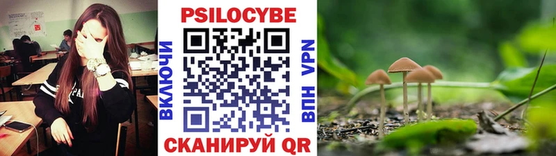 Псилоцибиновые грибы прущие грибы  Купить где  Нягань 